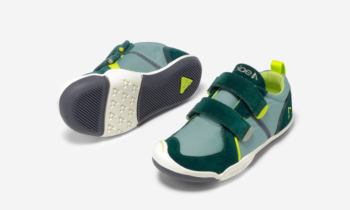ty - c-beam green