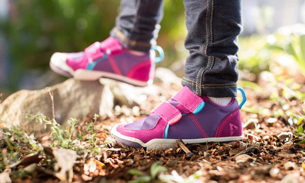 plae ty fuchsia purple