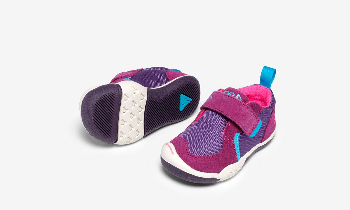 ty - fuchsia/purple