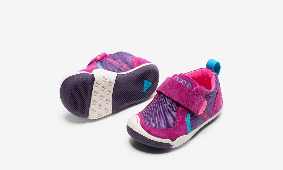 ty - fuchsia/purple