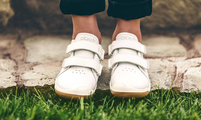 roan - antique white